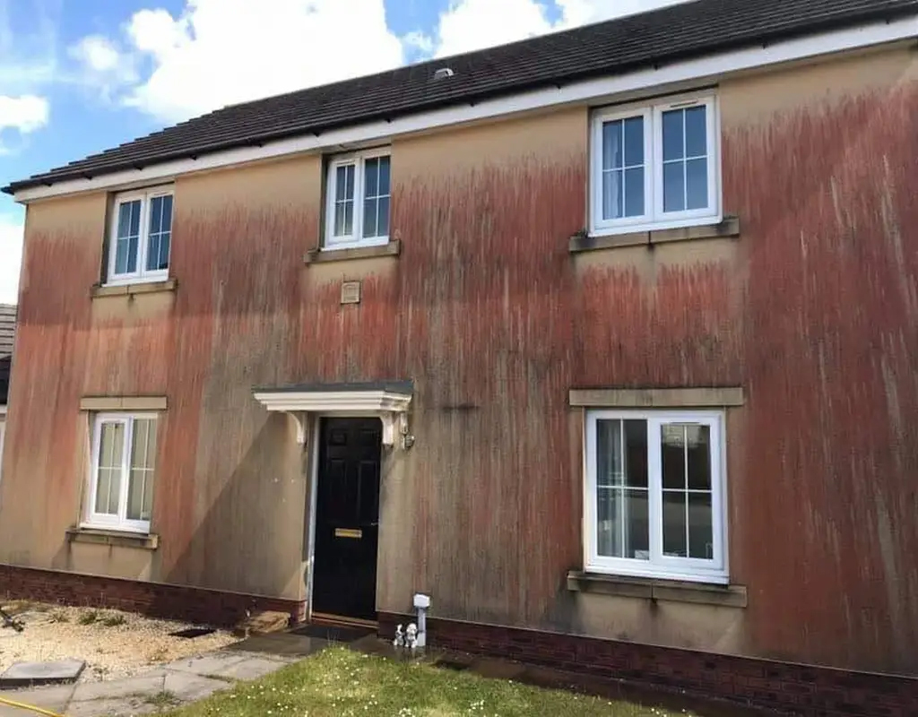 render cleaning and sealing