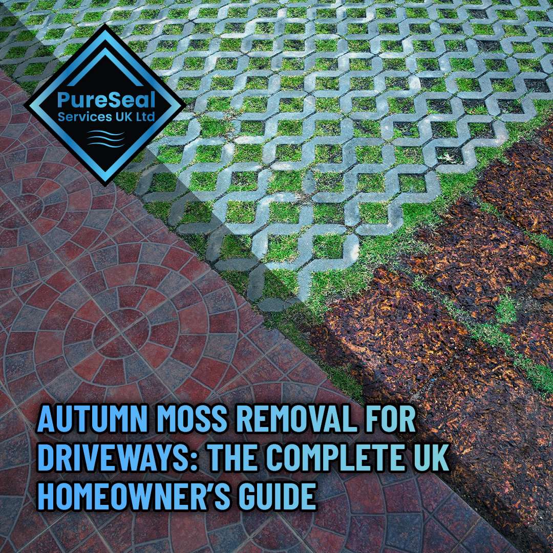 Autumn-Moss-Removal-for-Driveways