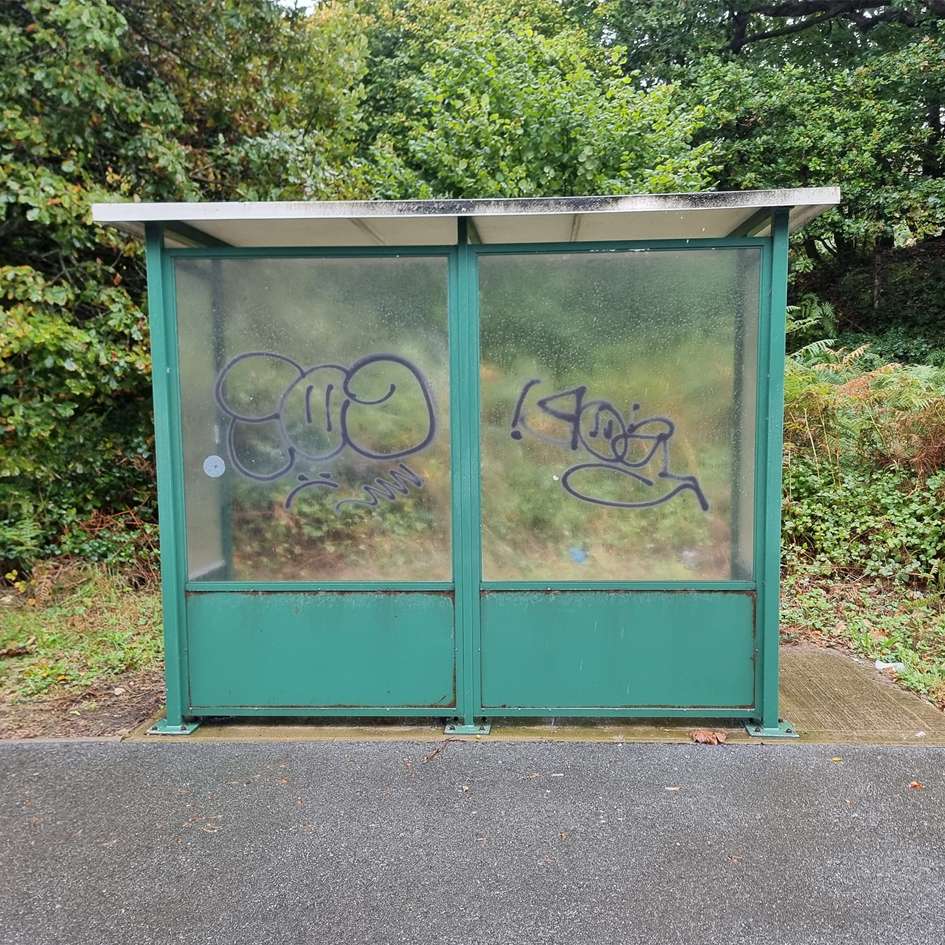 Graffiti Remover For Glass & Plastic - Image 4