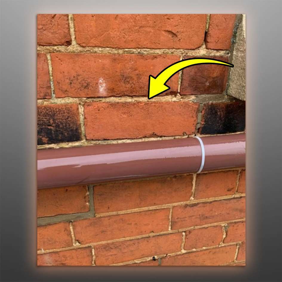 HFRestorer Pro - Image 4